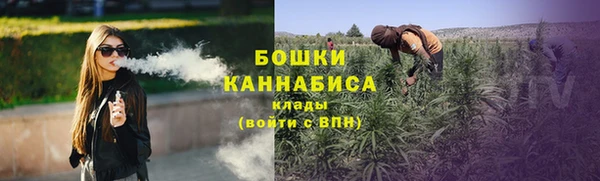 бошки Новозыбков