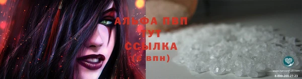 бошки Новозыбков