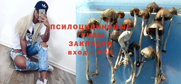 мдпв Новокубанск
